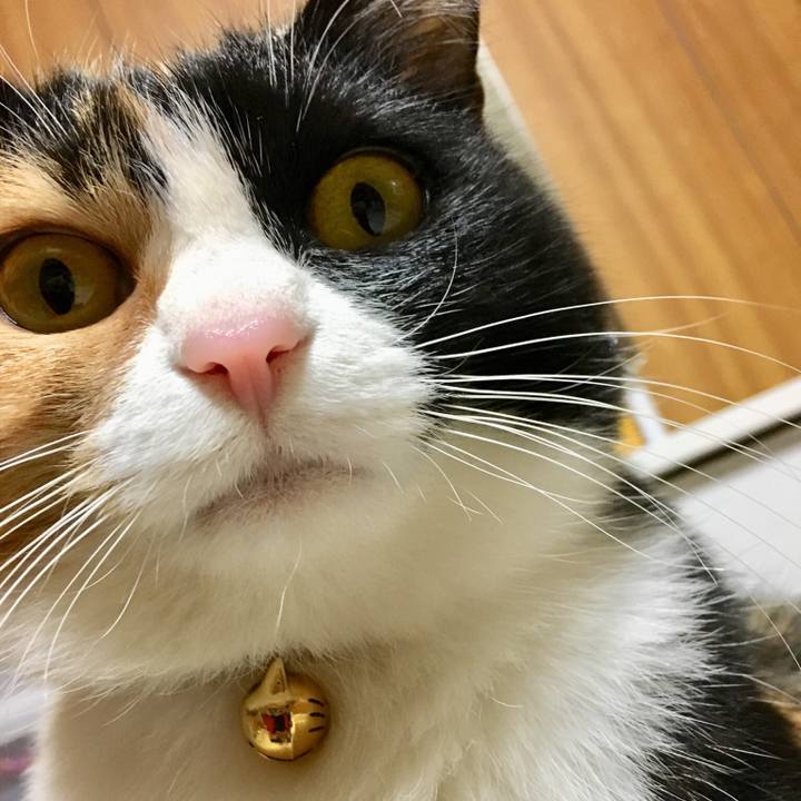 B4862479 4d84 4a13 afe1 26d2bcd98538 1514644713195