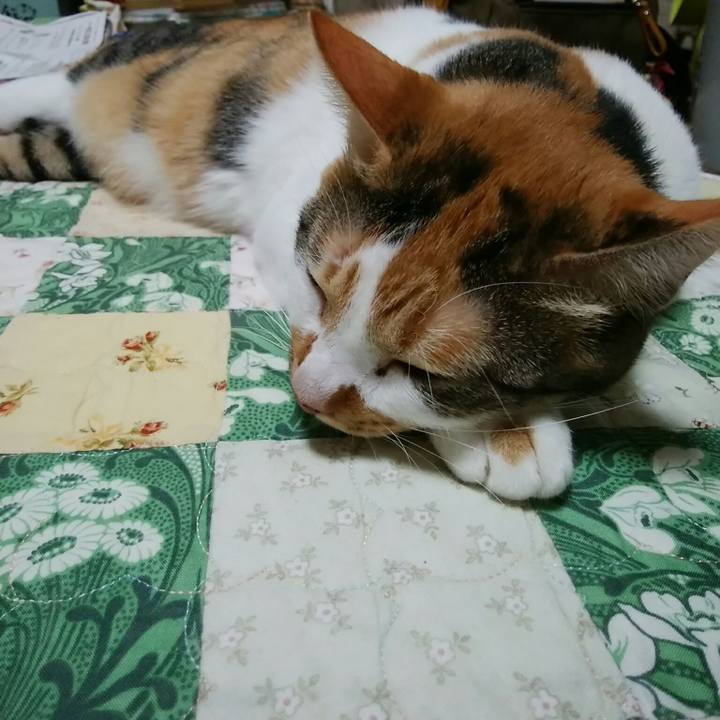 B48694c5 efcf 472c 9a42 67d5cfc0e1ee 1540384502097