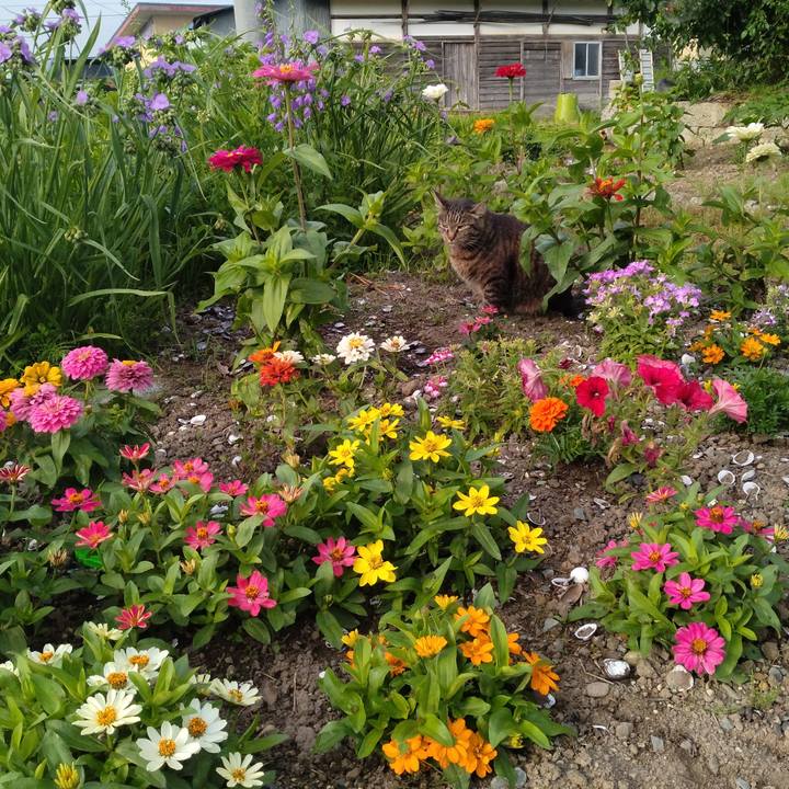 B486d8f6 de3d 4642 a068 9abb065c27da 1687818371416