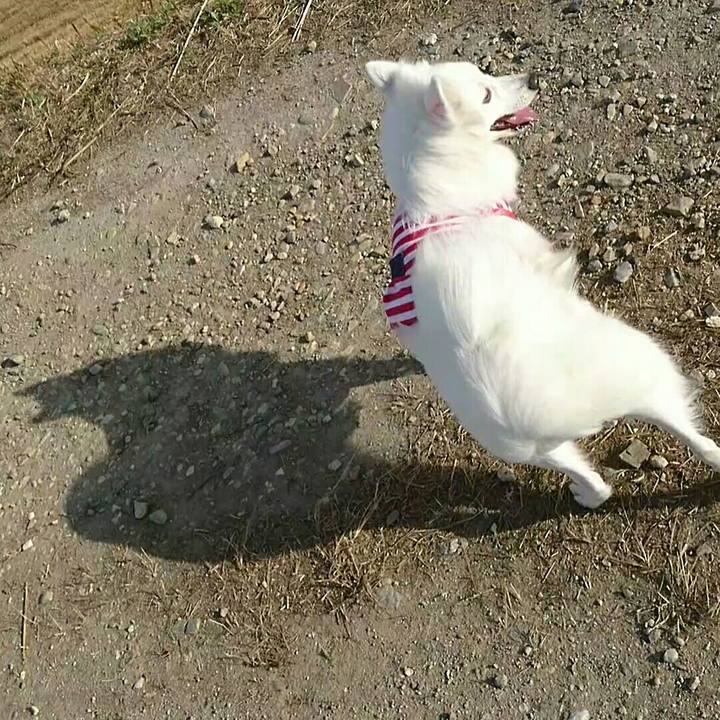 B486efa2 605b 4448 aa8f e8c1116bae61 1513230798939