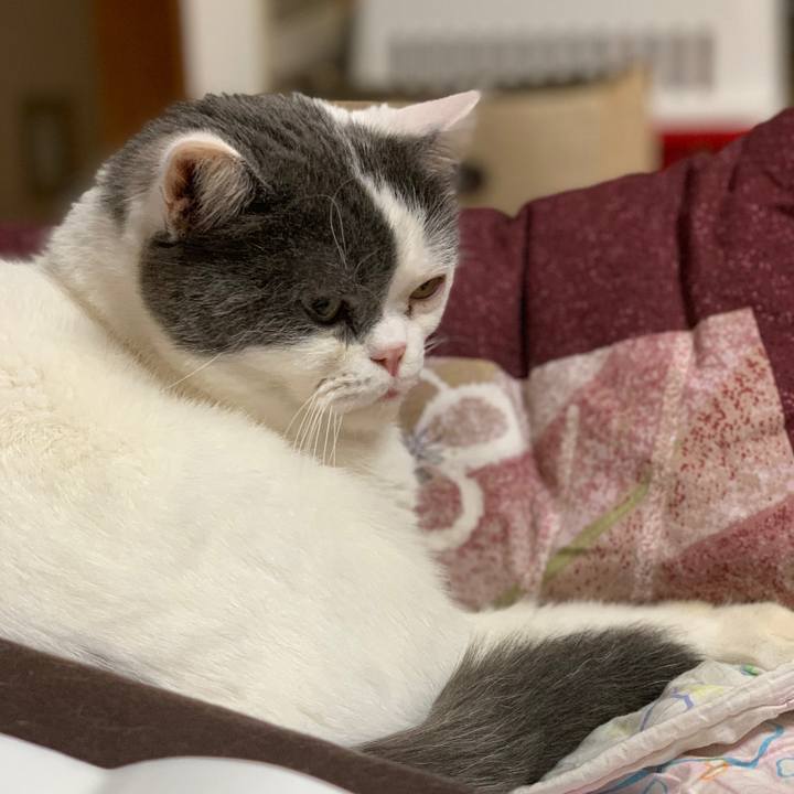 B486facc 0561 4629 8d34 bf20333630f4 1558952915071