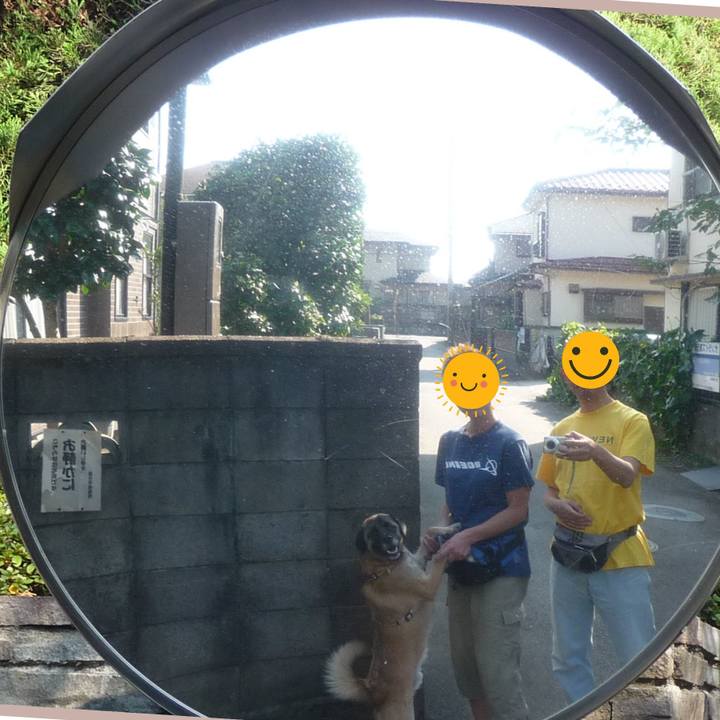 B487156a 8088 417f 99ca 6f6f10393abb 1683852832714