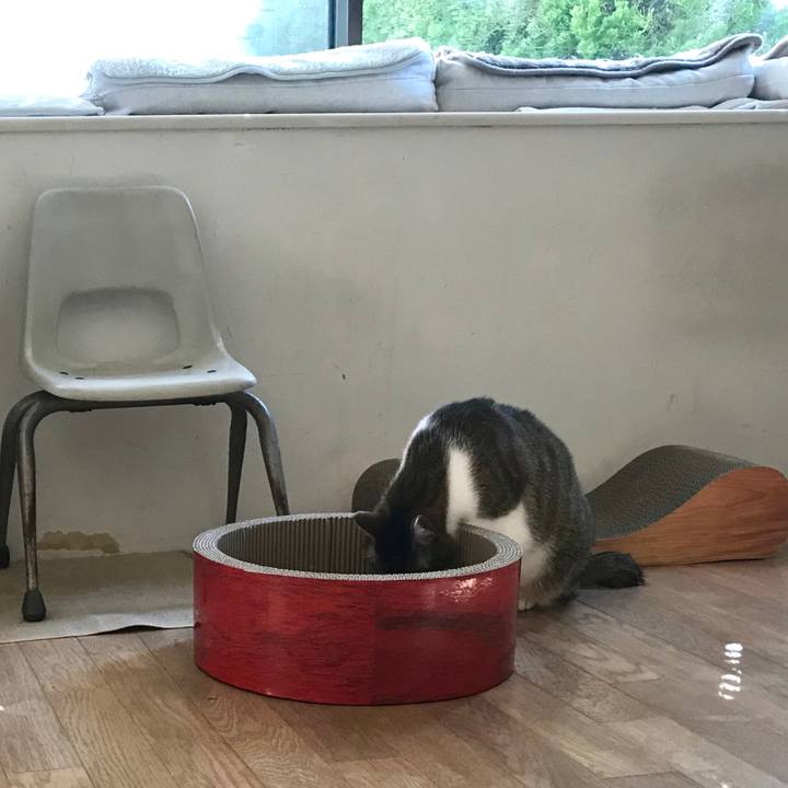 B4874927 4934 4400 95e5 f3dd311640c6 1518147663684