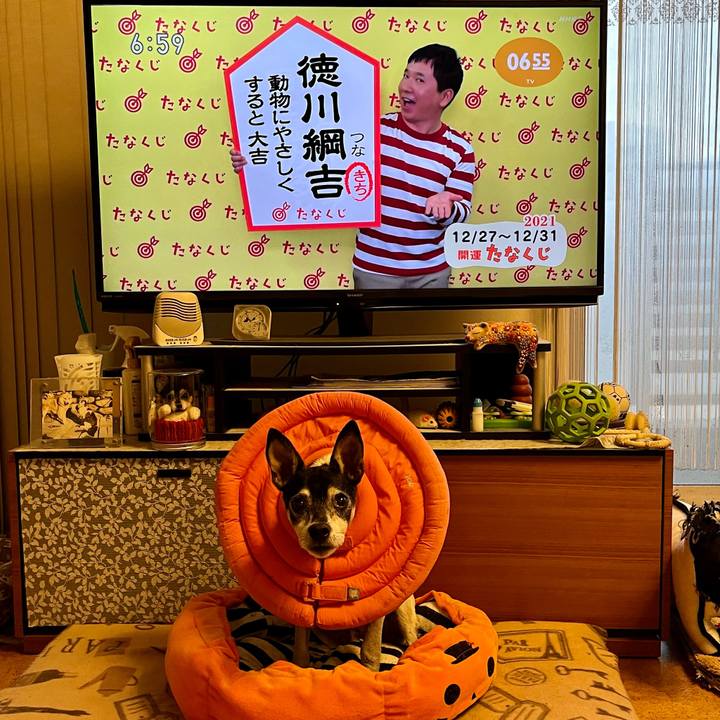 B4876bf2 b95e 4a8e 99d5 47fb91f6155f 1640556365492