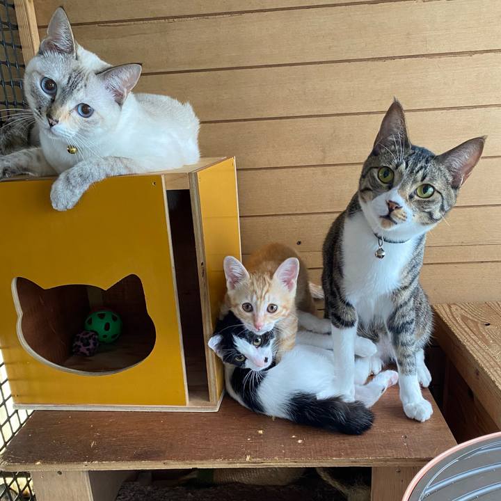 B487ac07 9175 489d 9c17 eb442898b829 1658014226593