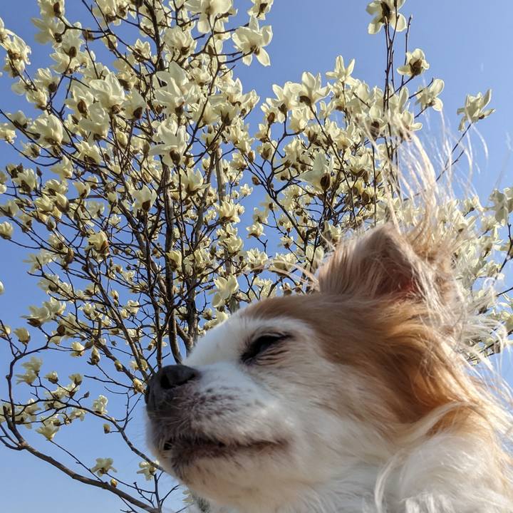 B487b1d7 6b5d 4bfb b588 8fc9c6c66ddf 1678368310996