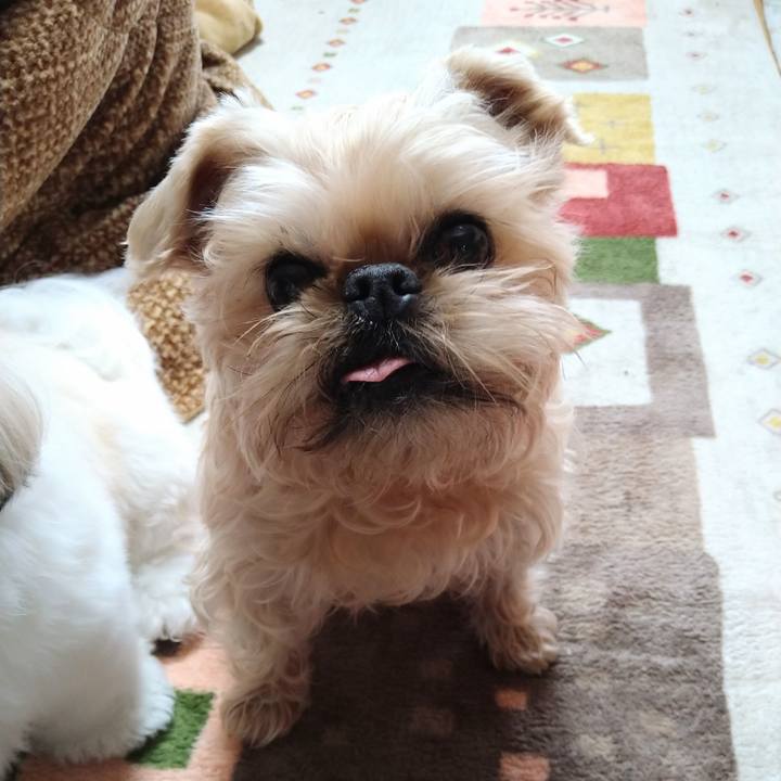 B487d5b8 12e5 4371 a26a 77d10ce2ad9e 1644898973523