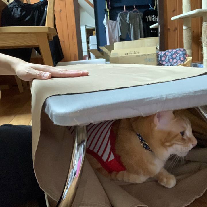 B487e857 5c8a 4424 94b1 4dc2eb525ca6 1599139425251