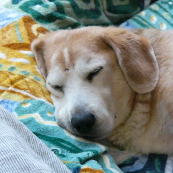 B48809e9 6d59 4cbc 8942 ab0d3fd8d714 1691539510593