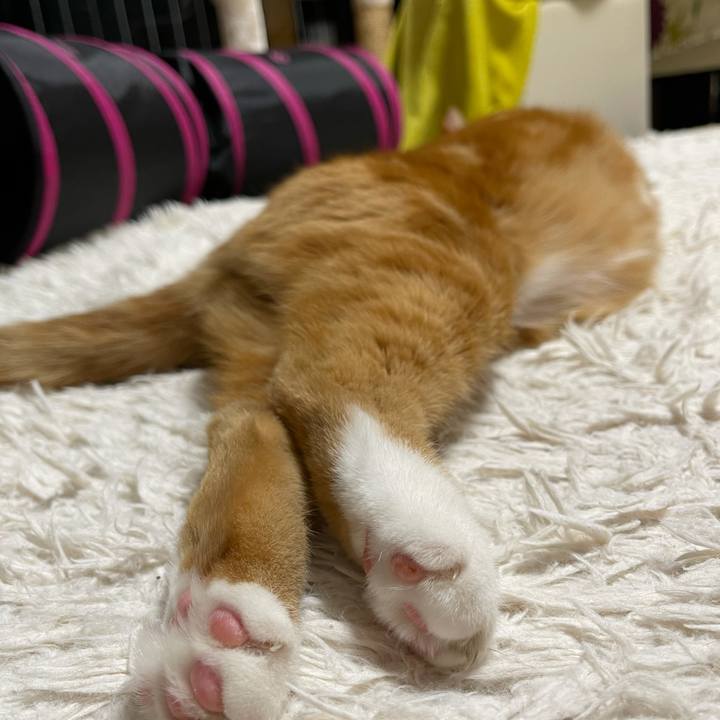 B4886564 aac4 45d4 a52a f68e957cc2f6 1647094659093