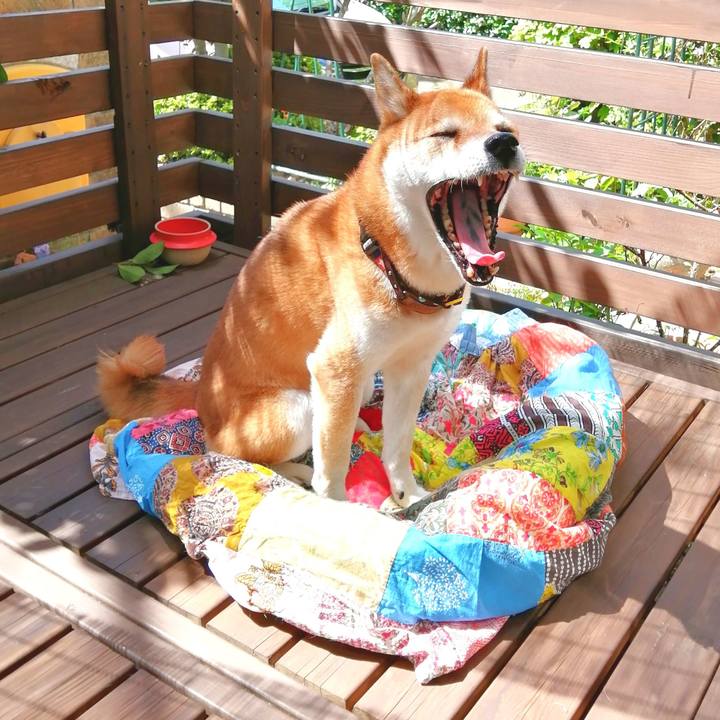 B4886e0e fe63 4c10 9792 2d24f32d6bba 1662946154021