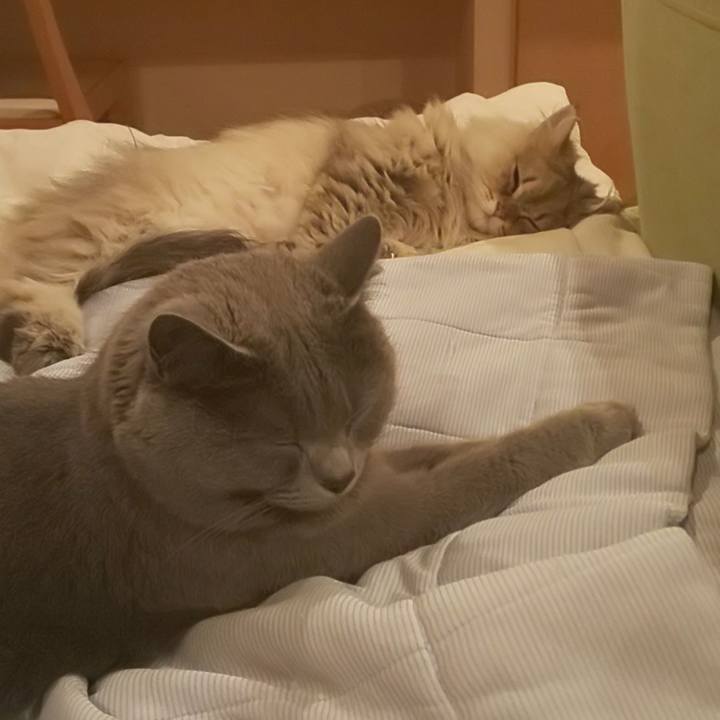 B4887287 dbc2 4547 99a8 c0d6861e20de 1590069245520