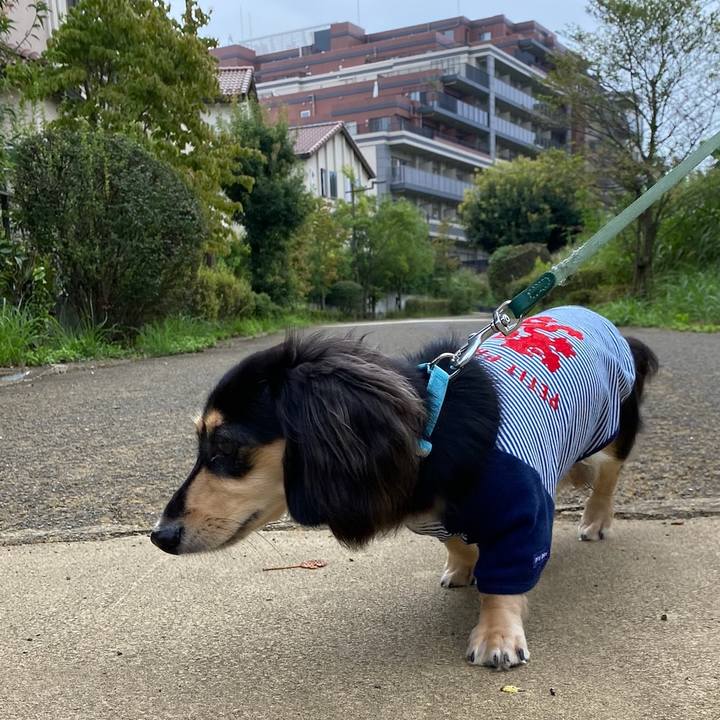 B48879fe 96c4 47df bb51 121c6fa716b2 1694854201049