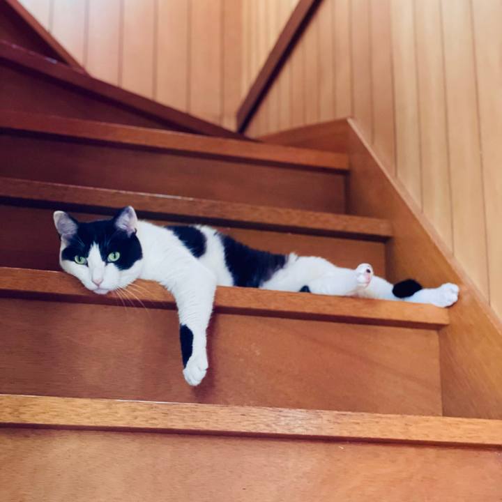 B4888eb6 3b35 4091 9b68 116bc261c99c 1660272774518