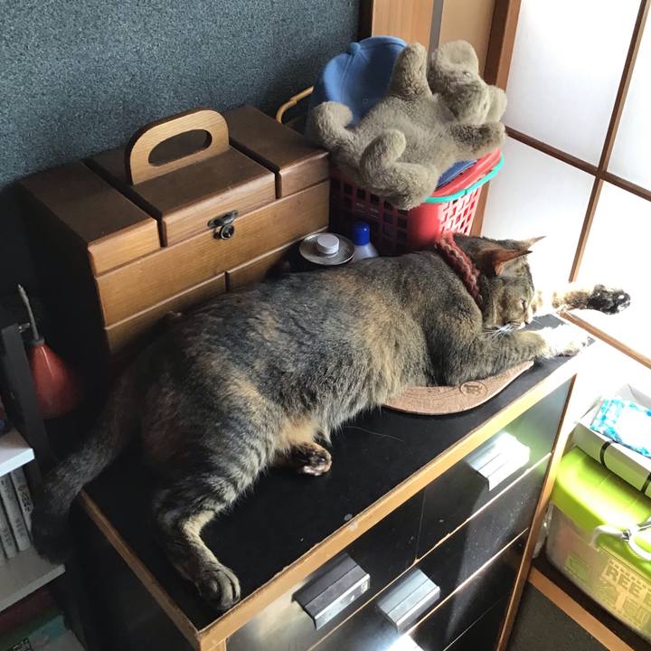 B4889b6a 1a66 4c5e b636 f40c223574f7 1633161668802