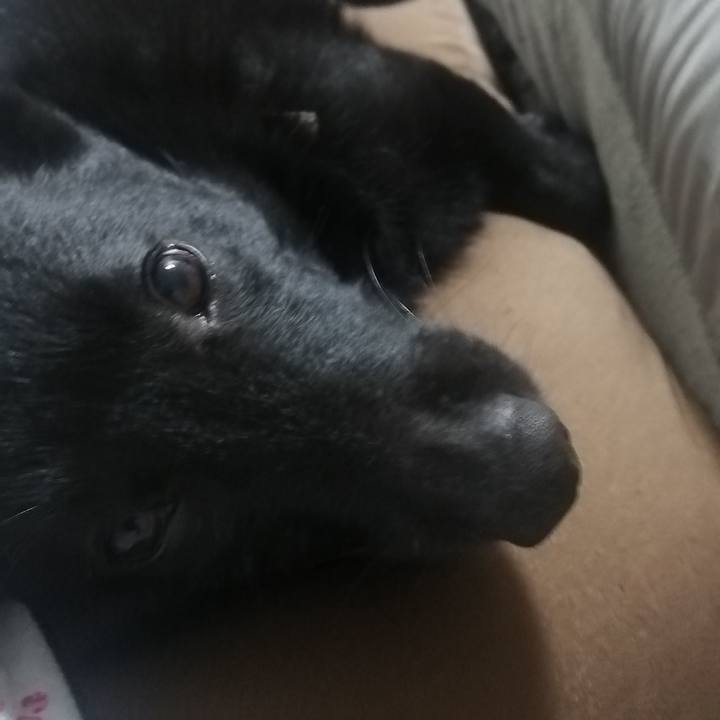 B488f17e f4ad 4cf8 b5d1 0d34132c30af 1643751860642