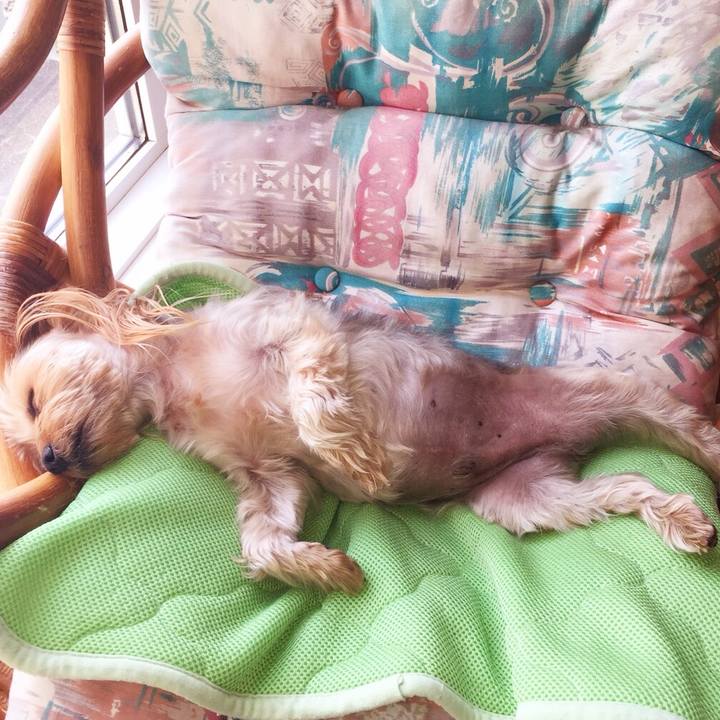 B489214e 9335 4a46 9c5b ad3156746a84 1525166243980