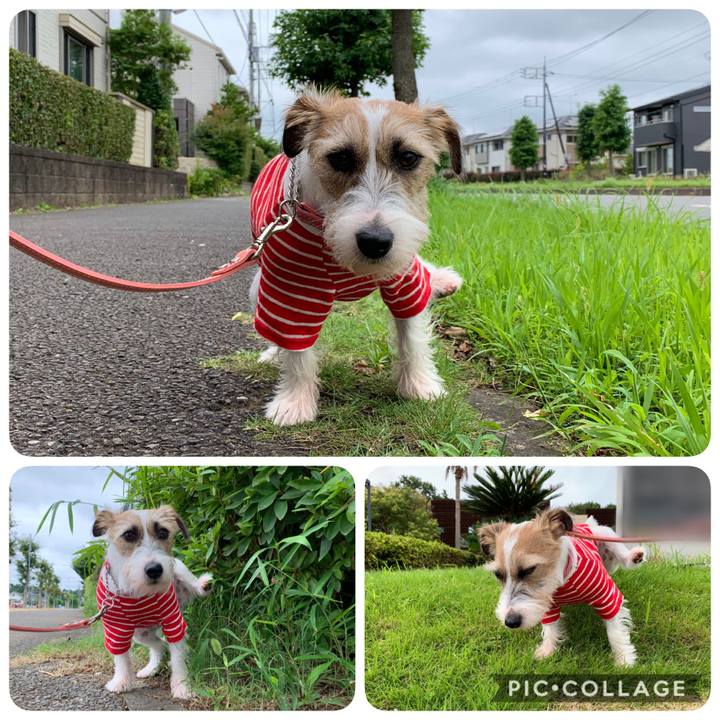 B489ce32 8e89 4937 979c 7dda3a3fe073 1596015783343