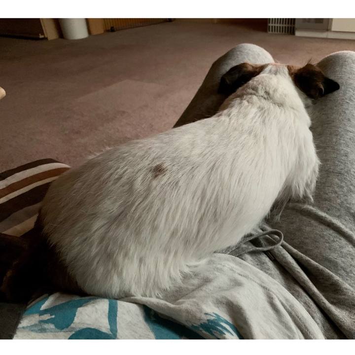 B489fd3b 9ef4 4126 95b3 8e4428f14a0d 1621415837598