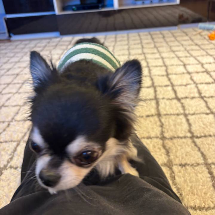 B48a2201 0d74 4caf 8d91 ed0423c60f95 1737907199507