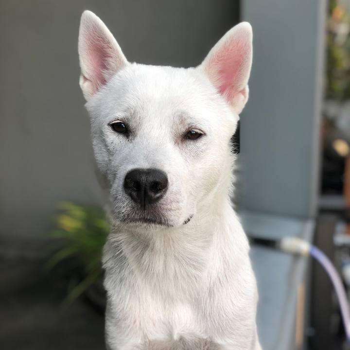 B48a3814 0227 4999 a008 755a0c424235 1536142395409