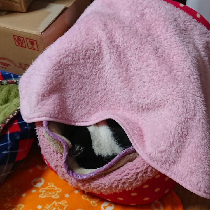 B48a42d7 346c 4edd 8263 8a8ebec2a31a 1542964788959