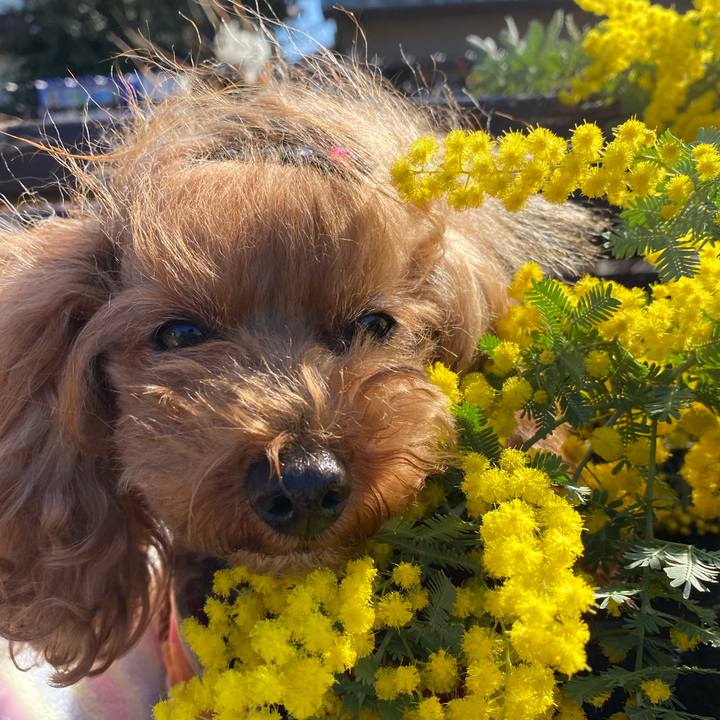 B48a7cf9 b9ad 48ef 9b0b dccfe9290596 1581994760218