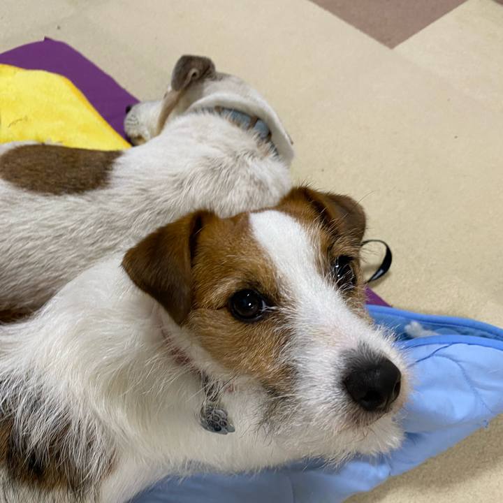 B48a8d2b fc79 4ea1 8922 9d717e21ee33 1657373230399