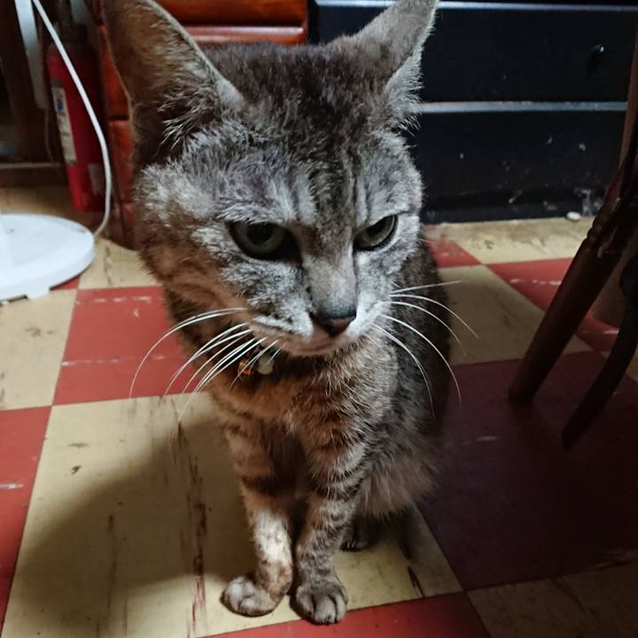 B48aa92e b674 4958 8c3b 54e481241282 1561752322711