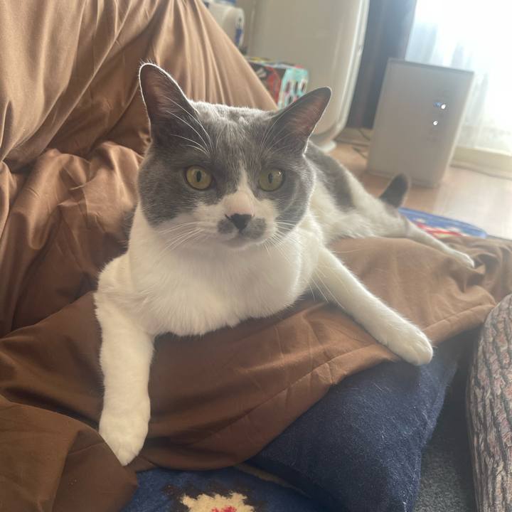 B48ab444 f9ef 4622 870d f2cb34bda3e5 1672619999244