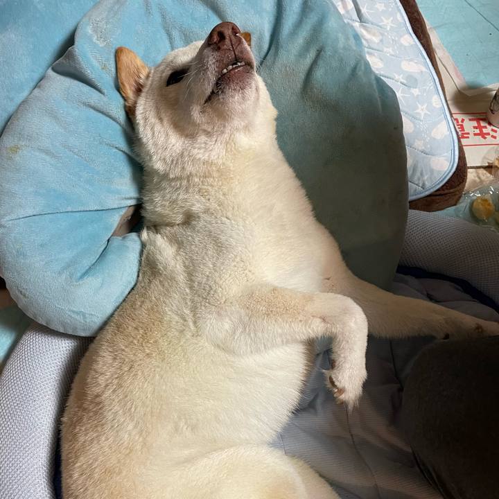 B48ad453 d04e 4f6b 841c 237f02b30623 1657787661931