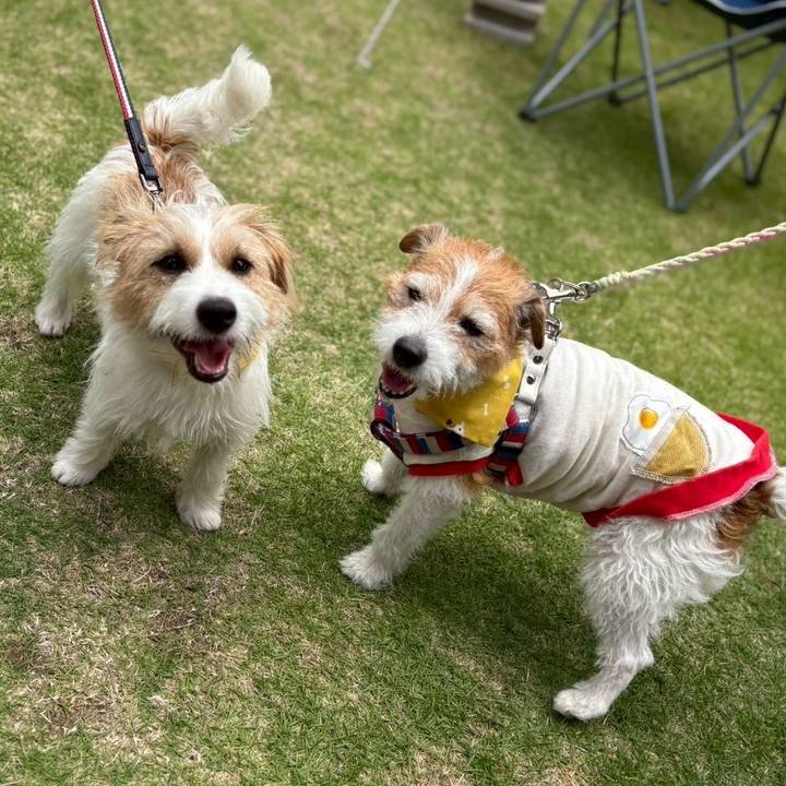 B48ae7d6 0d8f 418d 8a04 b065c839d53a 1747541465818