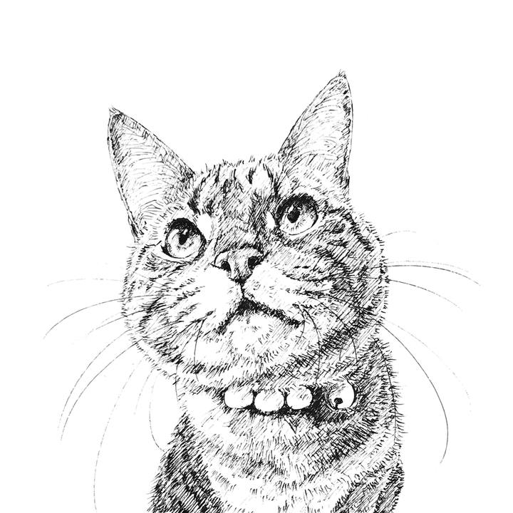 B48afed3 2f6a 450c 96f7 420b37d7c407 1599141537094