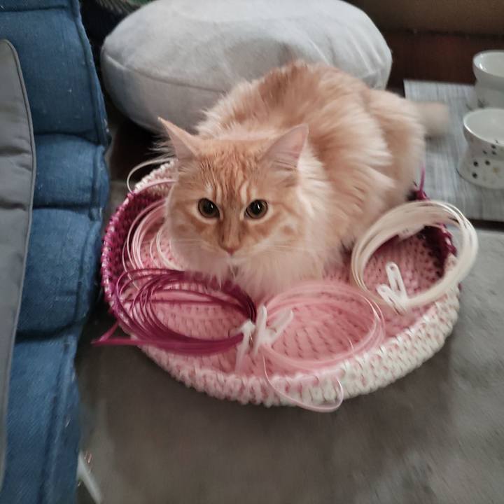 B48b0988 fd8c 45bb 98ff b2caf7939cbe 1654206700937