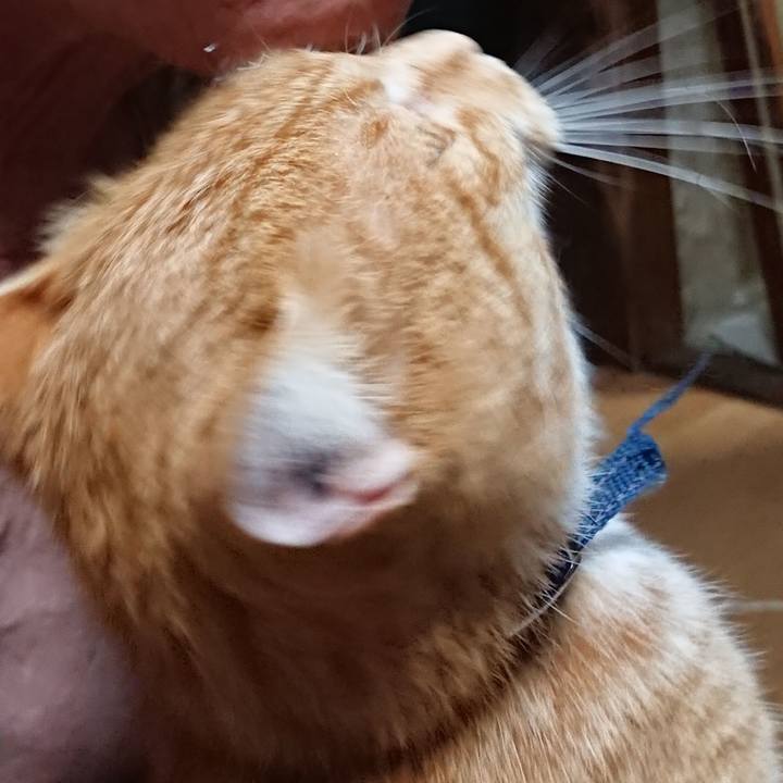 B48b2070 c5a4 459f ab0b 993bcbd9387f 1598734623663