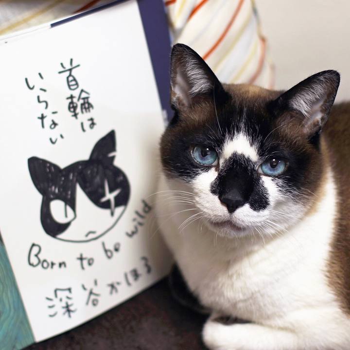 B48b6884 a2e3 4d54 8d52 0d79718b8b4f 1521160508412