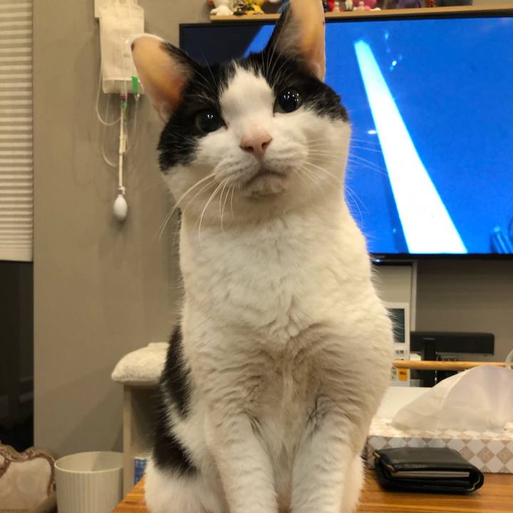 B48bae98 c63c 4e3e 9aec 0f1927b1ddf3 1691190709934