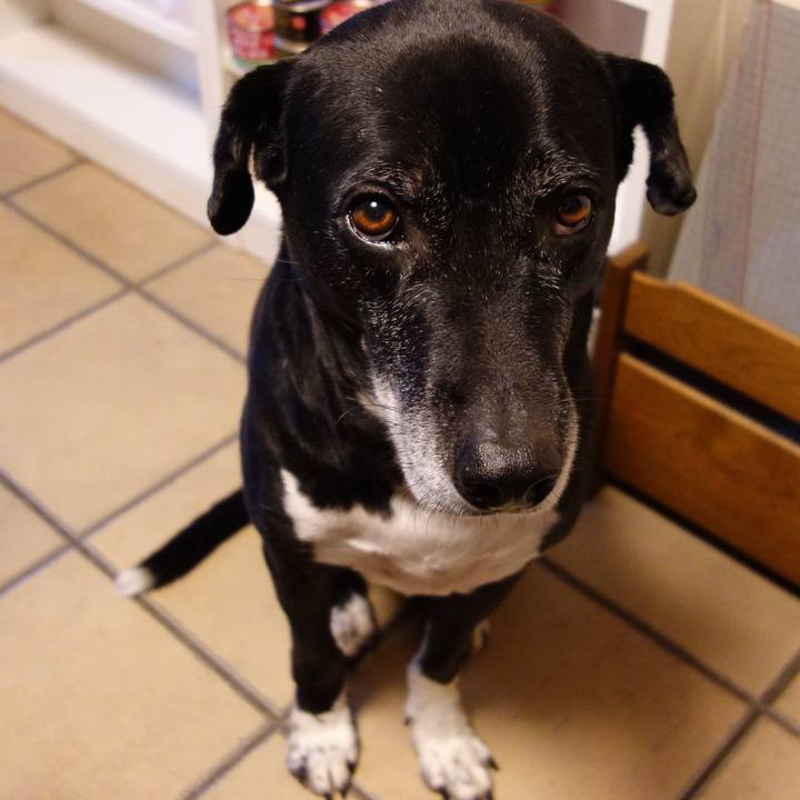 B48bc2ad 2bbe 49b5 a647 70099e57d078 1736813438201