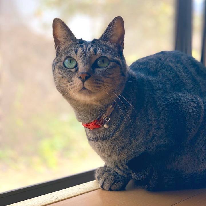 B48bc9d2 f6b9 492f a1bd a84189c0cf98 1579584273427