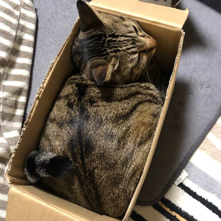 B48be91c 3b86 4b10 8890 7bc7c27312e6 1605974398569