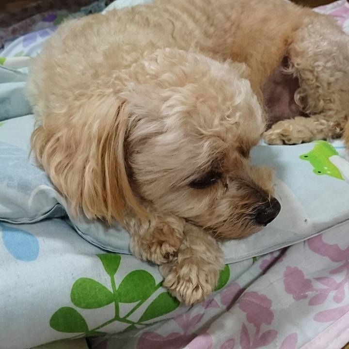 B48c2a2a 9d6b 4e01 83b4 de91c52fa7f9 1570914661928