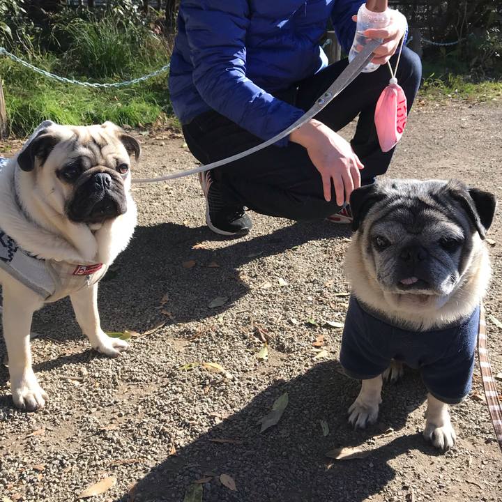 B48c7093 3e88 4a69 afa5 d47d5974c102 1546075328039