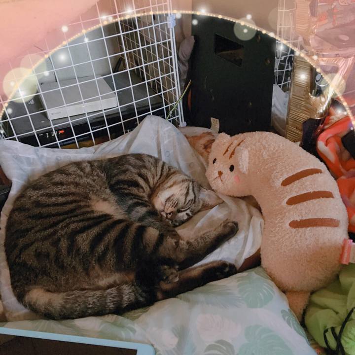 B48c729f 17b8 42ec a49c 42f988438632 1558077590732