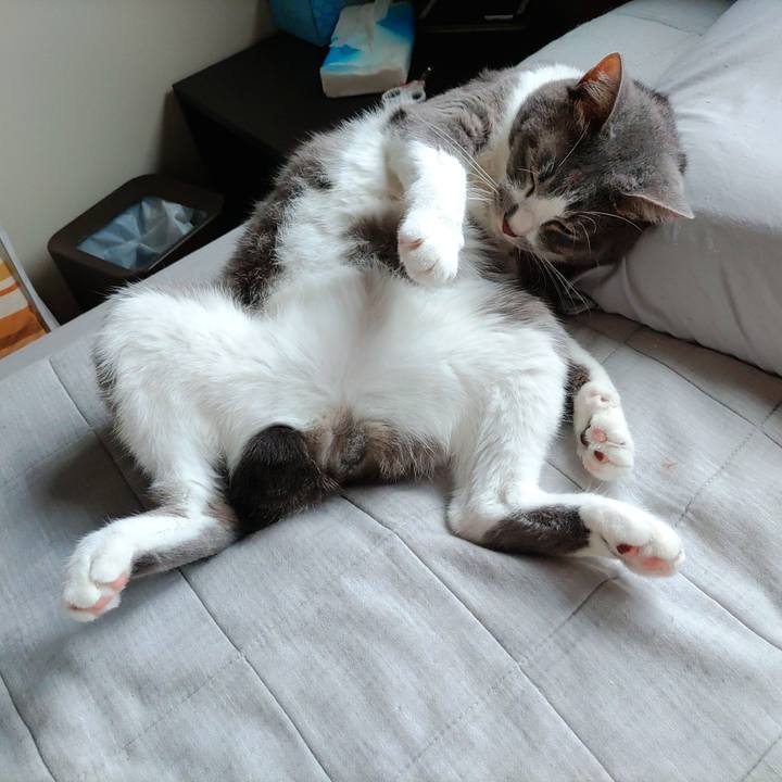 B48c941c a262 4a14 8d03 37bedee0e918 1663981195904