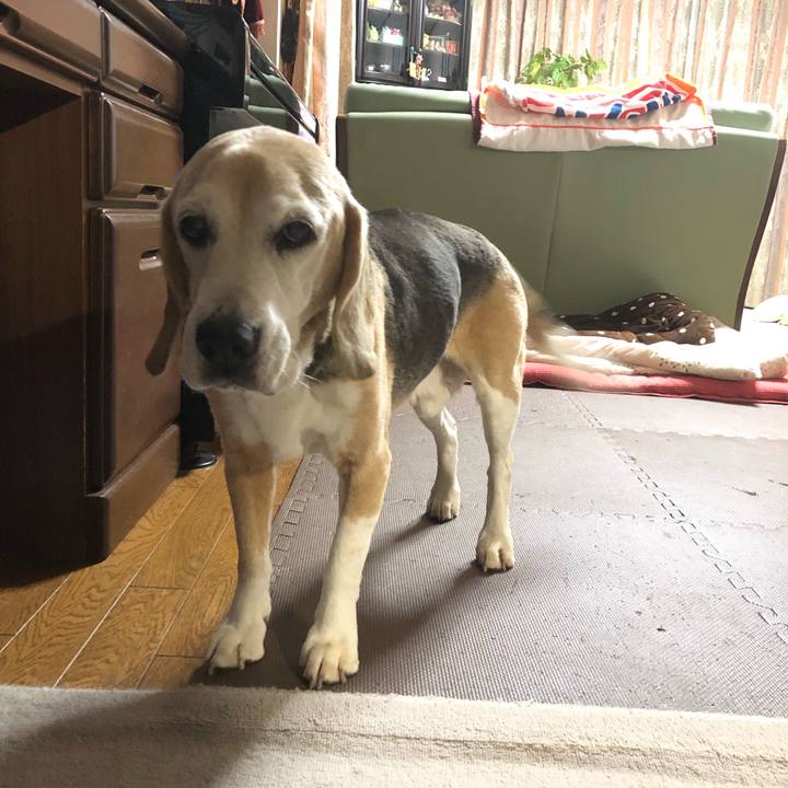 B48cb136 86d1 4207 86c5 1c32b9278398 1548338106633