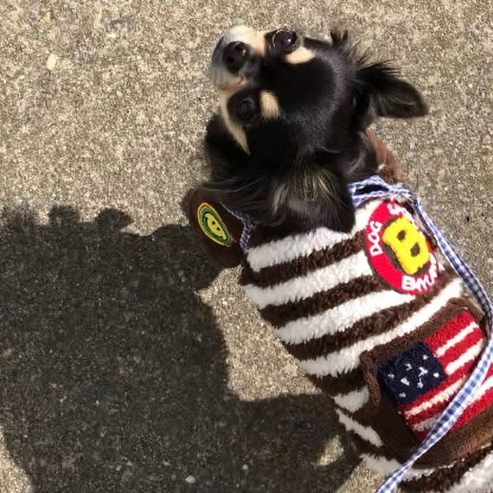 B48cd40d 8c36 4807 9fc8 cf61cbf6ff76 1573892654029