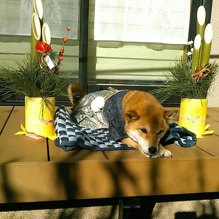 B48d277e cd46 4ff6 a603 4624c0c00abe 1546693581097