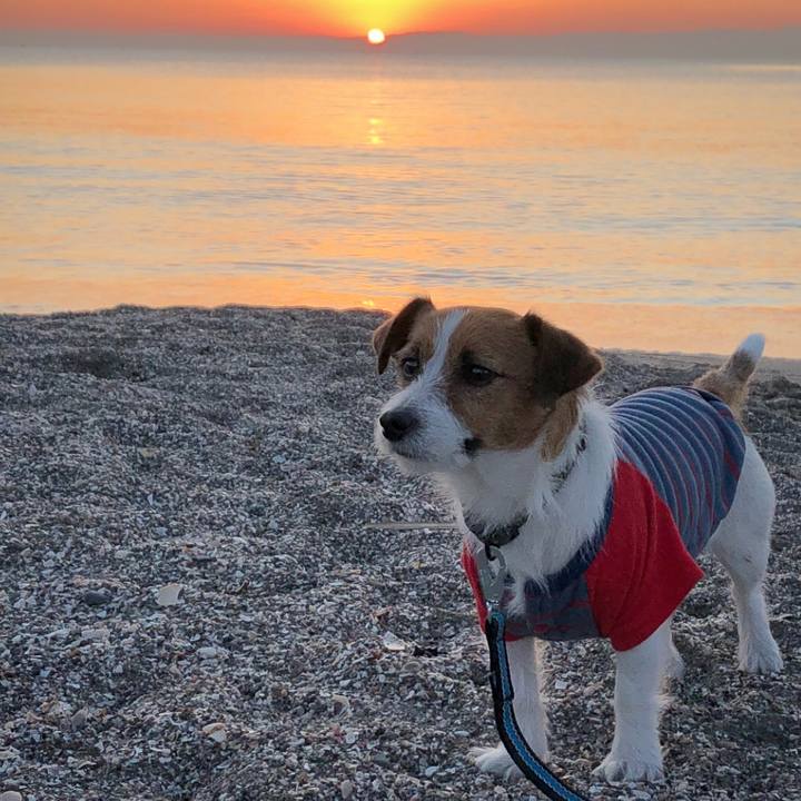 B48d2c8e e51b 40c7 bca5 e9d1ac2c0fd0 1512303670064