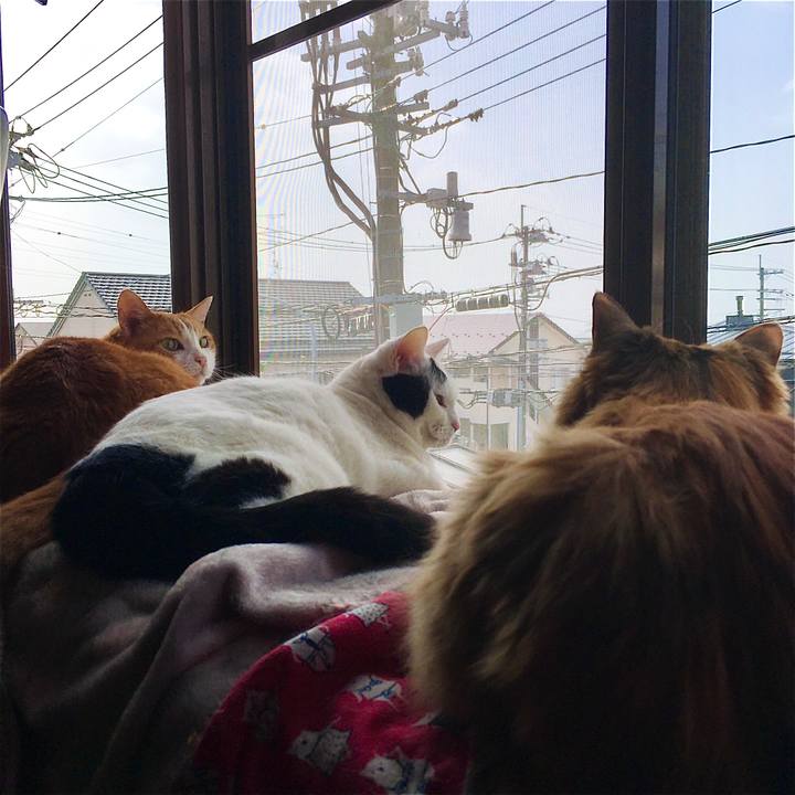 B48d3d25 8cfc 4574 ad63 a1afb7f26d2d 1617149230915