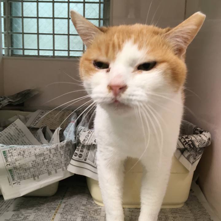 B48d4e9d 7b10 4802 8f1d 5fe75d65f895 1519304935744